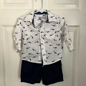 6-12 month boys outfit shark shirt and shorts